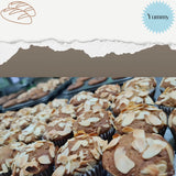 Olas Almond Cupcake (6pcs per Box)